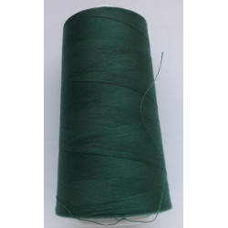 Spun Polyester Sewing thread 50 S/2 (140) color 490-leaf green/4500 Y
