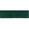 Cotton Twill Tape art. 8131153 10 mm, color C7807-dark green/1 m