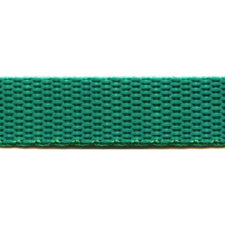 Polypropilene Webbing 20 mm color 1331 - green/1 m