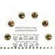 Sew-on Snap Fasteners Nr.2/0 5.5mm, brass, rustproof/6 pcs.