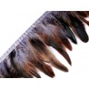 Trimming Braid - Rooster Feathers, 15-19 cm, gray/1m