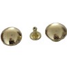 Decorative Rivet M66/gold