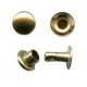 Rivet N1/4.8mm/gold/100pcs.
