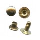Rivet N2/5.7mm/gold/100pcs.