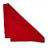 Felt sheet from PES fibres, 30x40 cm x 1.5mm, color 1646 - red/1pc.