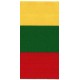 Ribbon in Lithuanian Flag Colors 100 mm/1 m