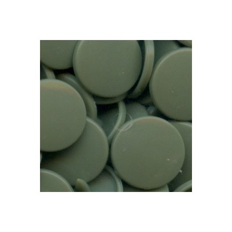 Plastic Snap Fasteners 12.4 mm colour B30-pale green 25 pcs.