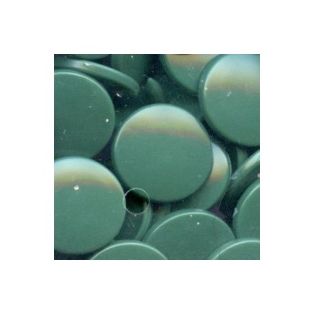 Plastic Snap Fasteners 12.4 mm, colour B31-dark green/25 pcs.