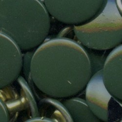 Spaudės nerūdijančios ALFA 12.5 mm/t.žalios/1 vnt.