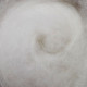 Carded Wool for Felting color 1001-White 25 g