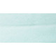 Single Fold Bias Binding Cotton Width 20 mm, color 613 - light mint/1 m