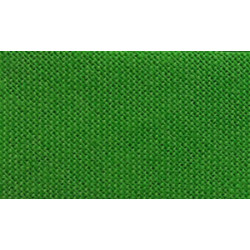5921-137 Medvilninė užlyginta juosta apsiuvams 20 mm šviesi žalia/1 m